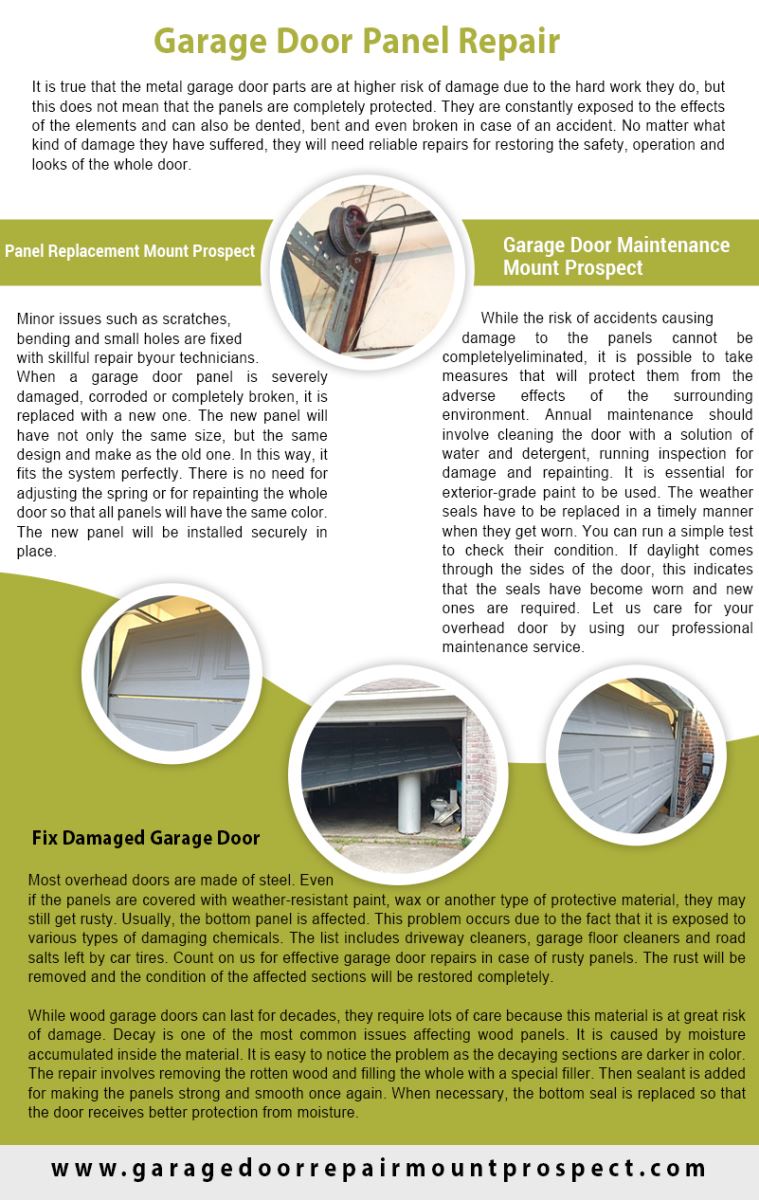 Garage Door Repair Mount Prospect Infographic